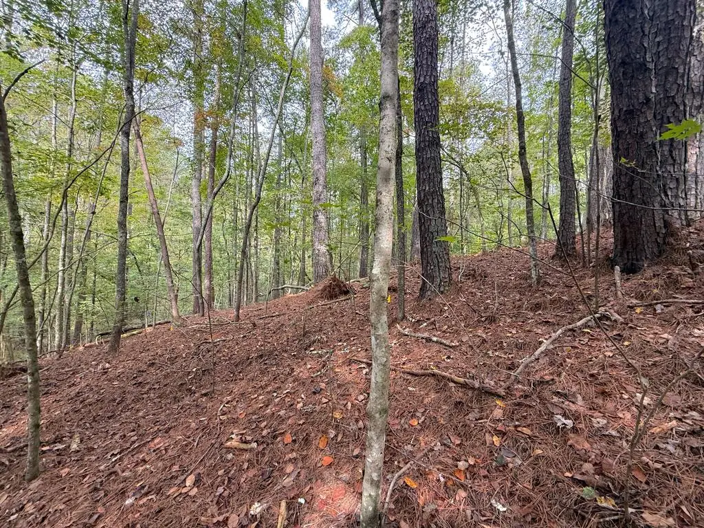 136 Guidon, Ellijay, GA 30540 - #1