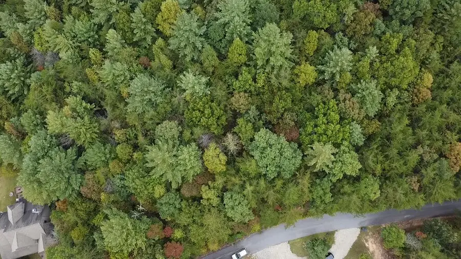 24 Copper Way, Blairsville, GA 30512 - #3