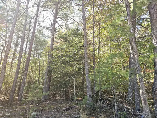 LOT 12 Deer Springs Road, Morganton, GA 30560