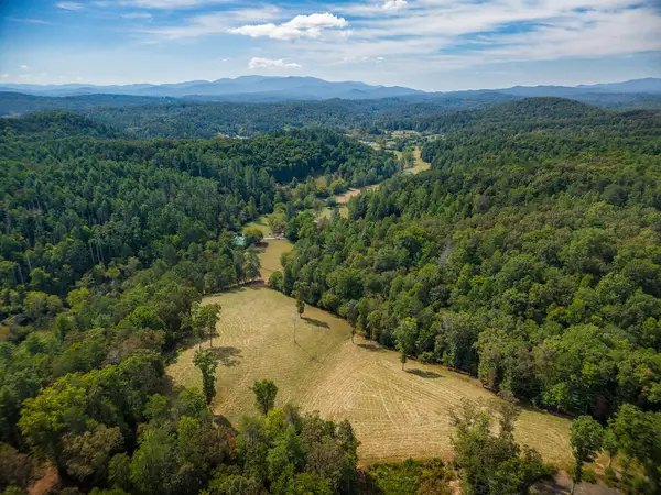 619 Youngstone Drive, Mineral Bluff, GA 30559