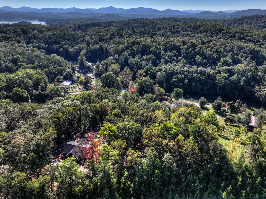 81 Silver Oaks Court, Blue Ridge, GA 30513 - #2