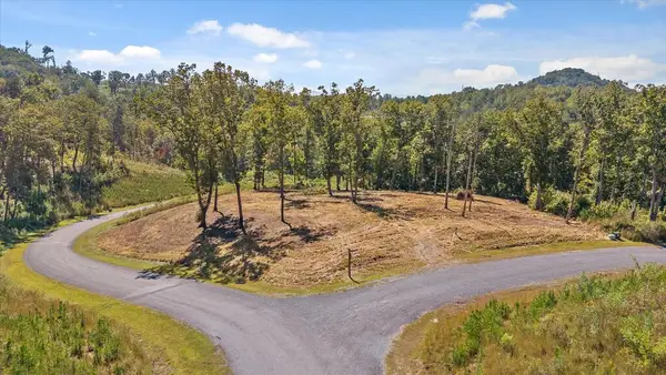 Lot 87 Twisted Oak Trail, Talking Rock, GA 30175