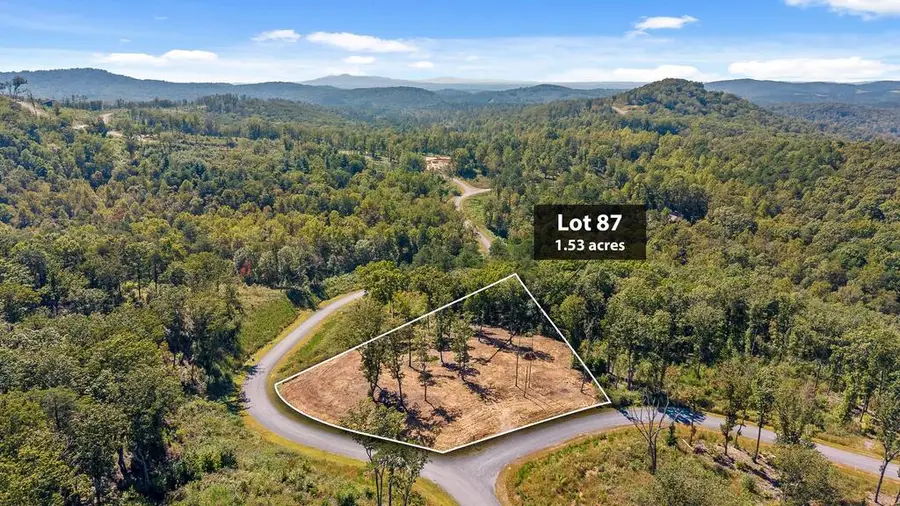 Lot 87 Twisted Oak Trail, Talking Rock, GA 30175 - #3