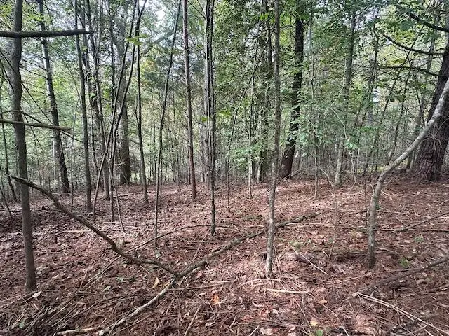 Lot 15 Pine Grove Drive, Blue Ridge, GA 30513 - #2