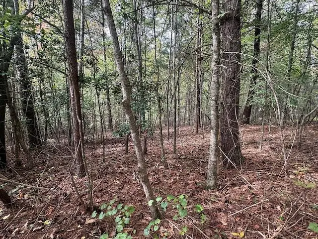 Lot 15 Pine Grove Drive, Blue Ridge, GA 30513 - #3