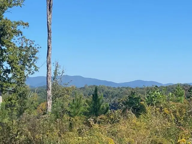 0 Mystic Drive, Ellijay, GA 30540 - #3