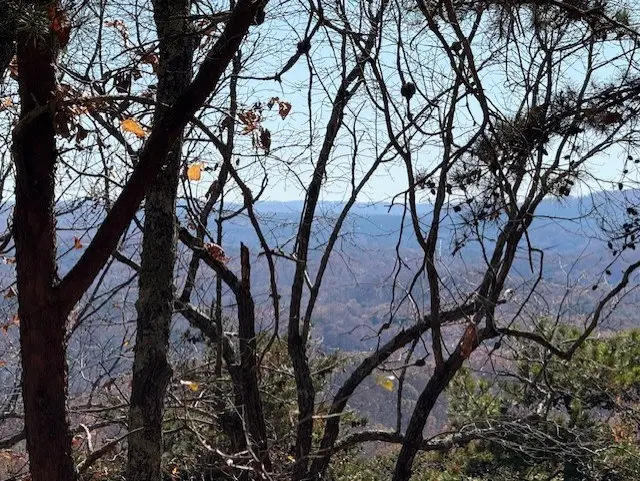 0 John Call Road, Talking Rock, GA 30175 - #2