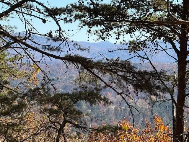 0 John Call Road, Talking Rock, GA 30175 - #3