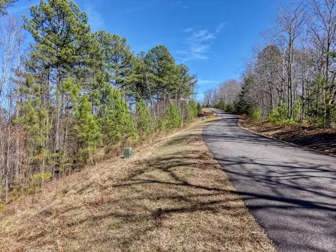 Lot 61 Thirteen Hundred, Blairsville, GA 30512 - #2