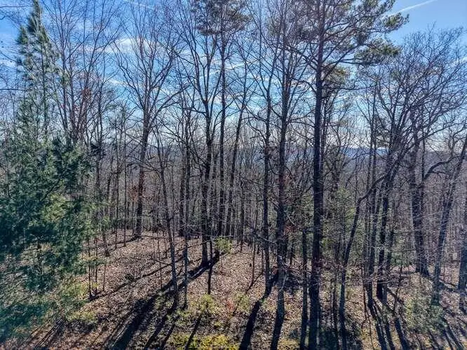 Lot 61 Thirteen Hundred, Blairsville, GA 30512 - #3