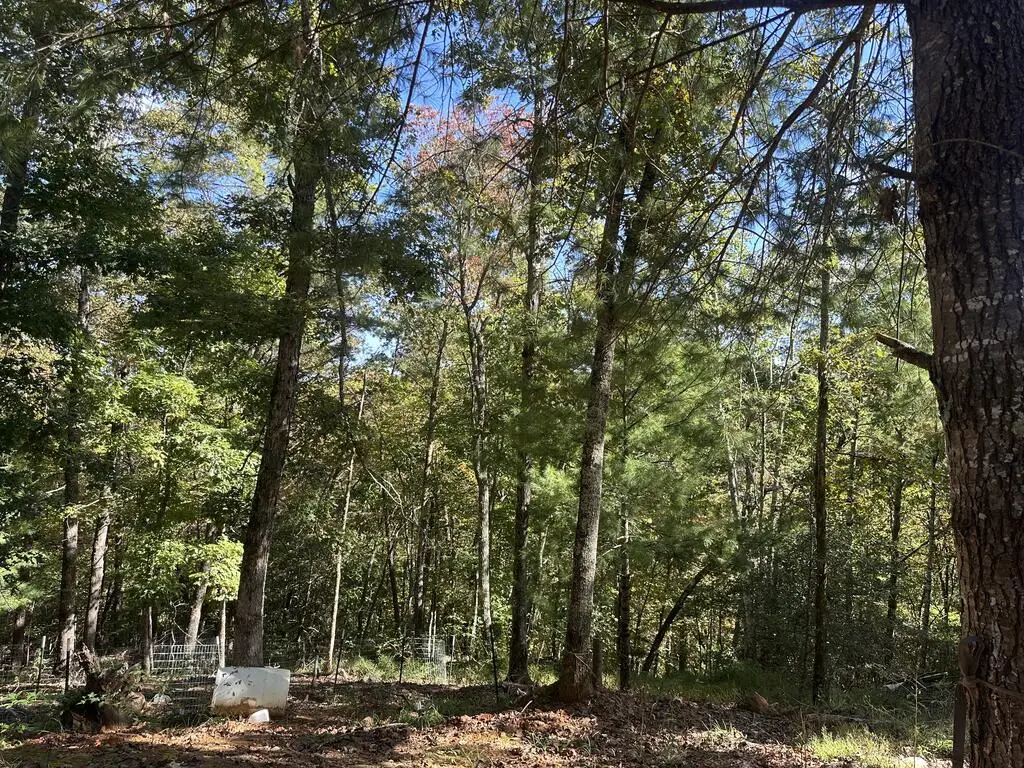237 Hillendale Lane, Murphy, NC 28906 - #1