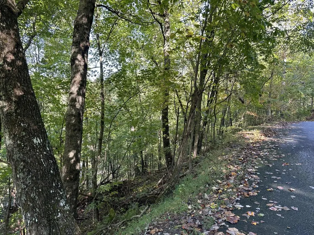 Lot 449 Mountain Tops Road, Fannin, GA 30513 - #1