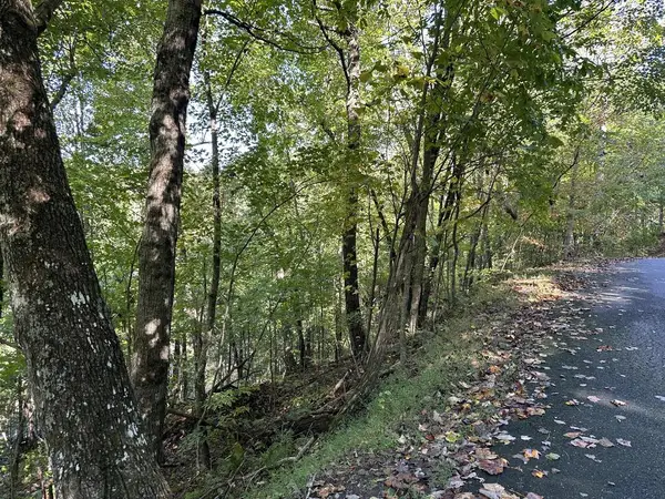Lot 449 Mountain Tops Road, Fannin, GA 30513