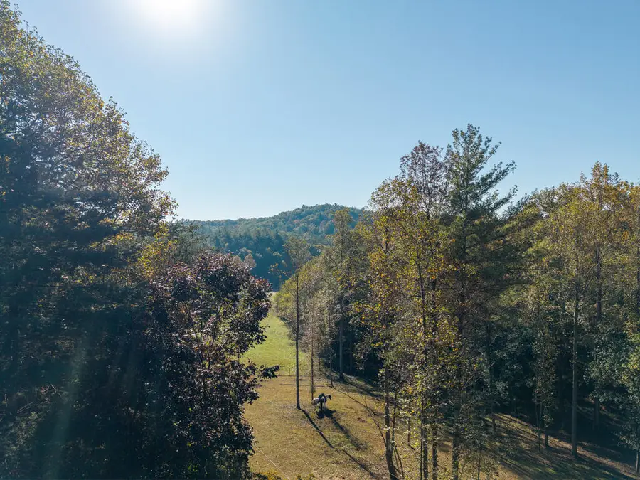 1099 Lickskillet Circle, Epworth, GA 30541 - #2