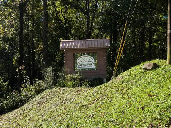 Lot 5 Mossy Hill Court, Ellijay, GA 30540