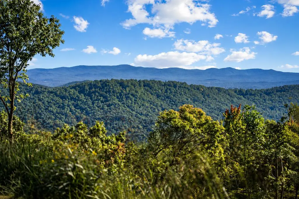 LT 26 Stone Fly Close Road, Ellijay, GA 30536 - #1
