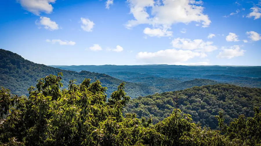 LT 28 Stone Fly Close Road, Ellijay, GA 30536 - #3