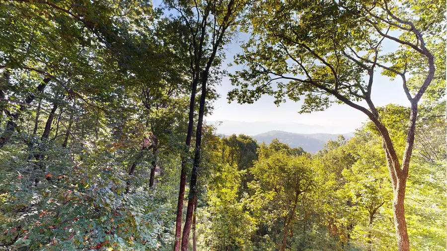 398 Mountain View Road, Ellijay, GA 30540 - #3