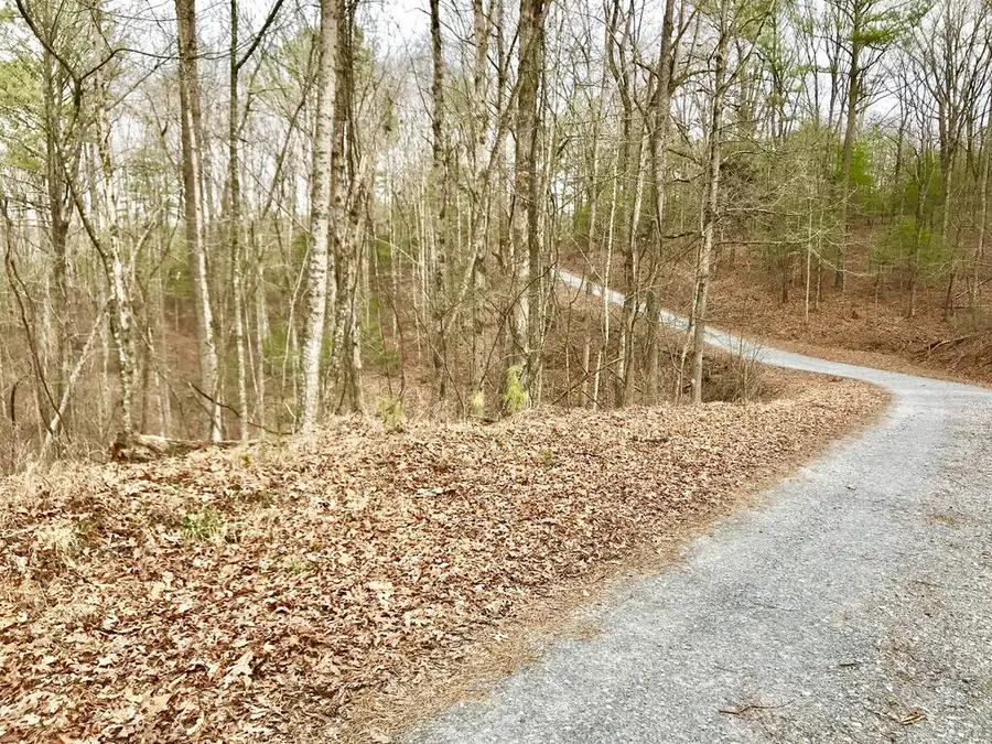 260 Catawba Circle, Ellijay, GA 30540 - #2