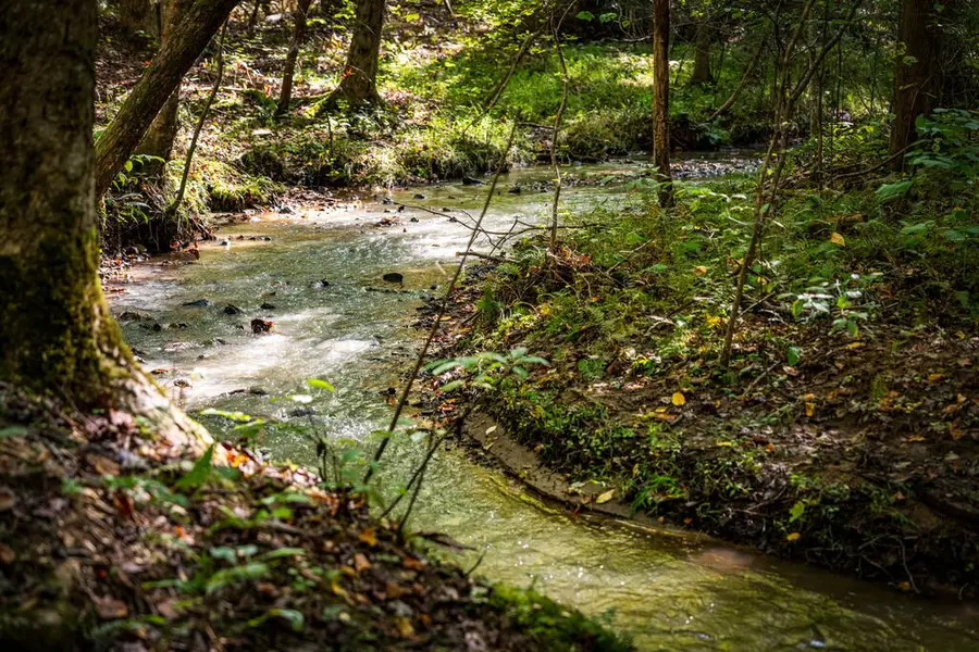 LT 2 Pheasant Tail Trace, Ellijay, GA 30536 - #2