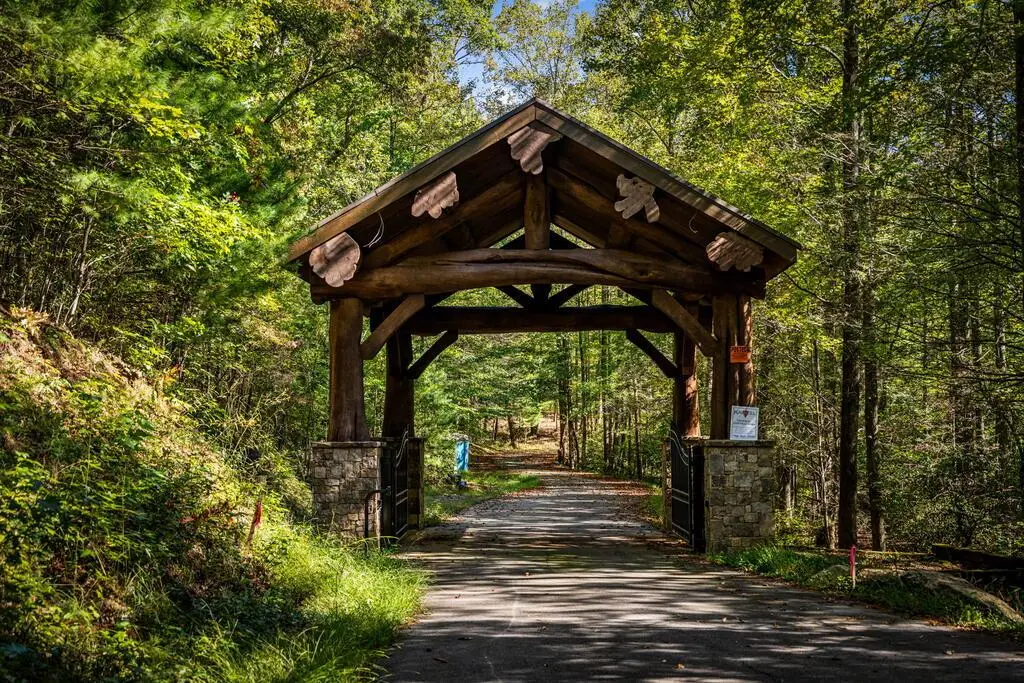 LT 3 Pheasant Tail Trace, Ellijay, GA 30536 - #1