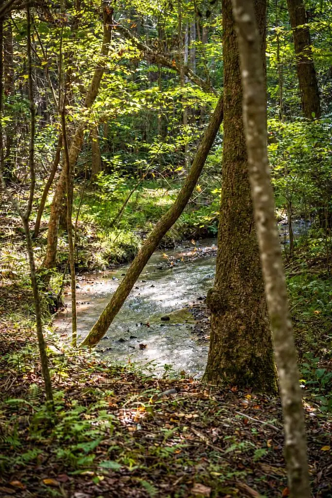 LT 3 Pheasant Tail Trace, Ellijay, GA 30536 - #3