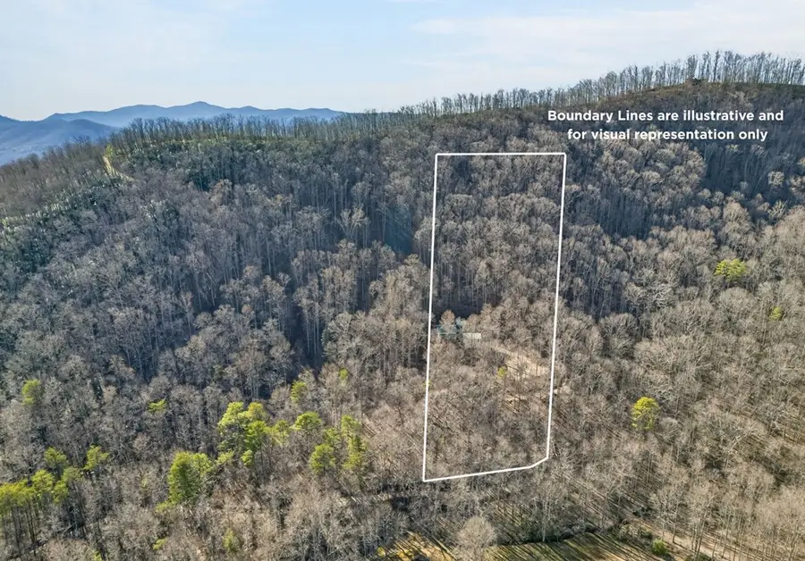 317 Collins Creek Road, Hiawassee, GA 30546 - #3