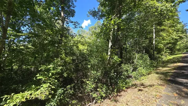 Lot 1B Victoria Woods, Hiawassee, GA 30546