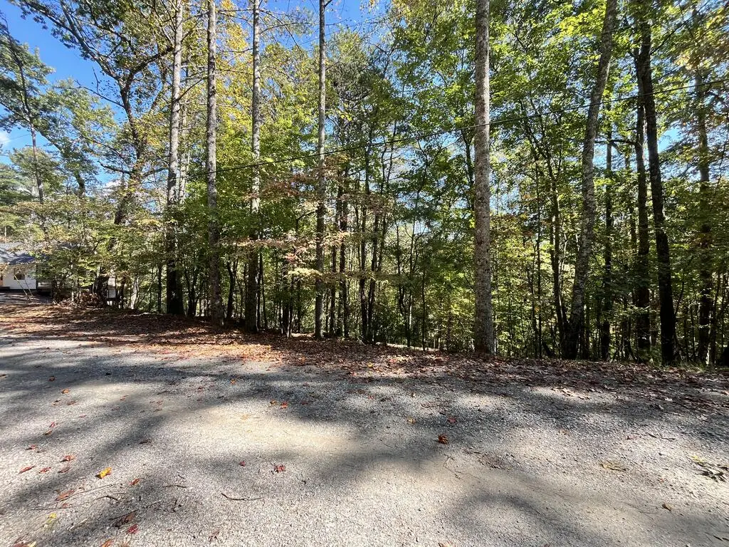 LT 3261 Haven Court, Ellijay, GA 30540 - #1
