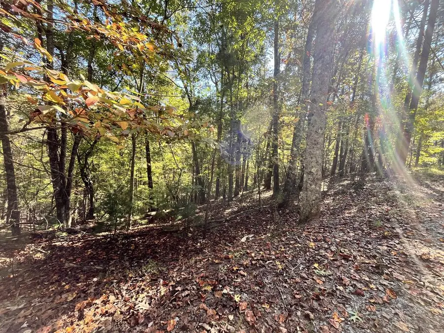 LT 3261 Haven Court, Ellijay, GA 30540 - #2