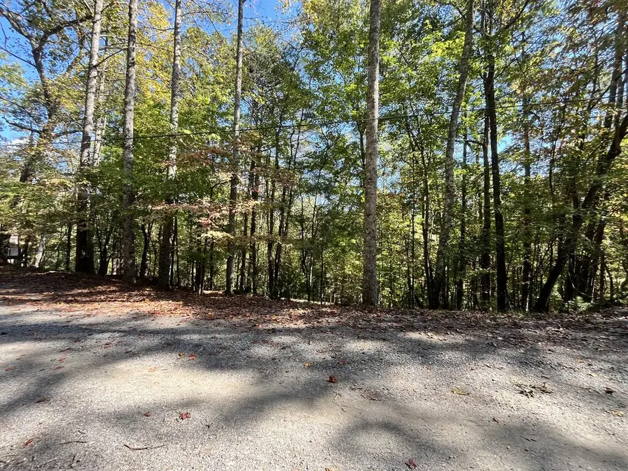 LT 3261 Haven Court, Ellijay, GA 30540 - #3