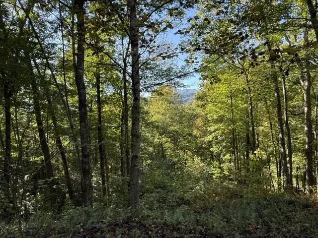 Lot 73 Turkey Walk Drive, Marble, NC 28905 - #3