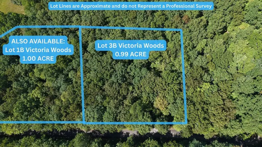 Lot 3B Victoria Woods, Hiawassee, GA 30546 - #2