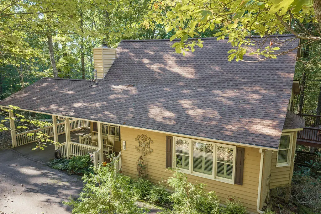 705 Laurel Ridge Drive, Ellijay, GA 30536 - #1