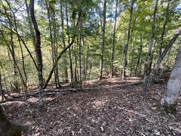 Lt 2532 Frigate Drive, Ellijay, GA 30540