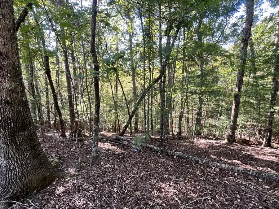Lt 2532 Frigate Drive, Ellijay, GA 30540 - #3