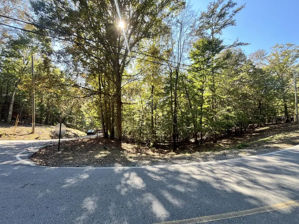 Lt 2032 Newport Drive, Ellijay, GA 30540 - #1