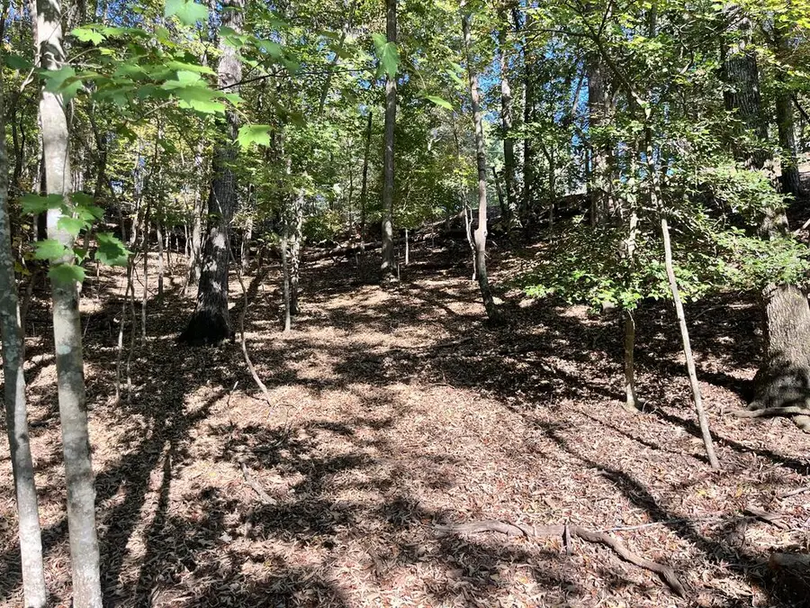 Lt 2032 Newport Drive, Ellijay, GA 30540 - #3