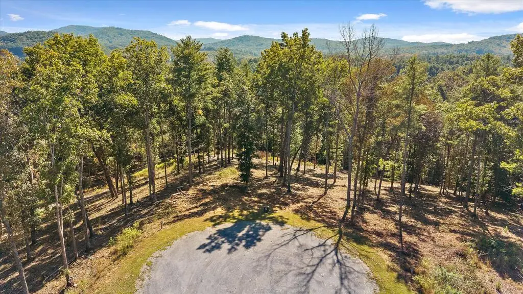 Lot 101 South Wind Court, Morganton, GA 30560 - #1