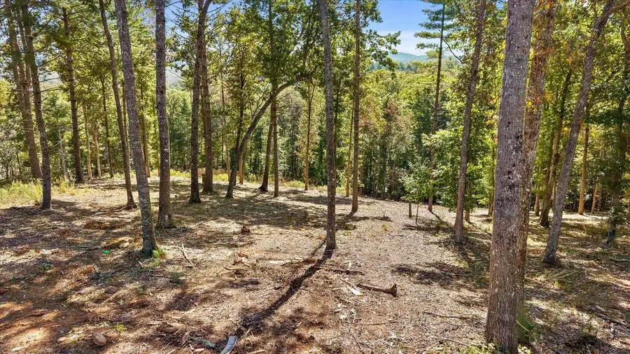 Lot 101 South Wind Court, Morganton, GA 30560 - #2