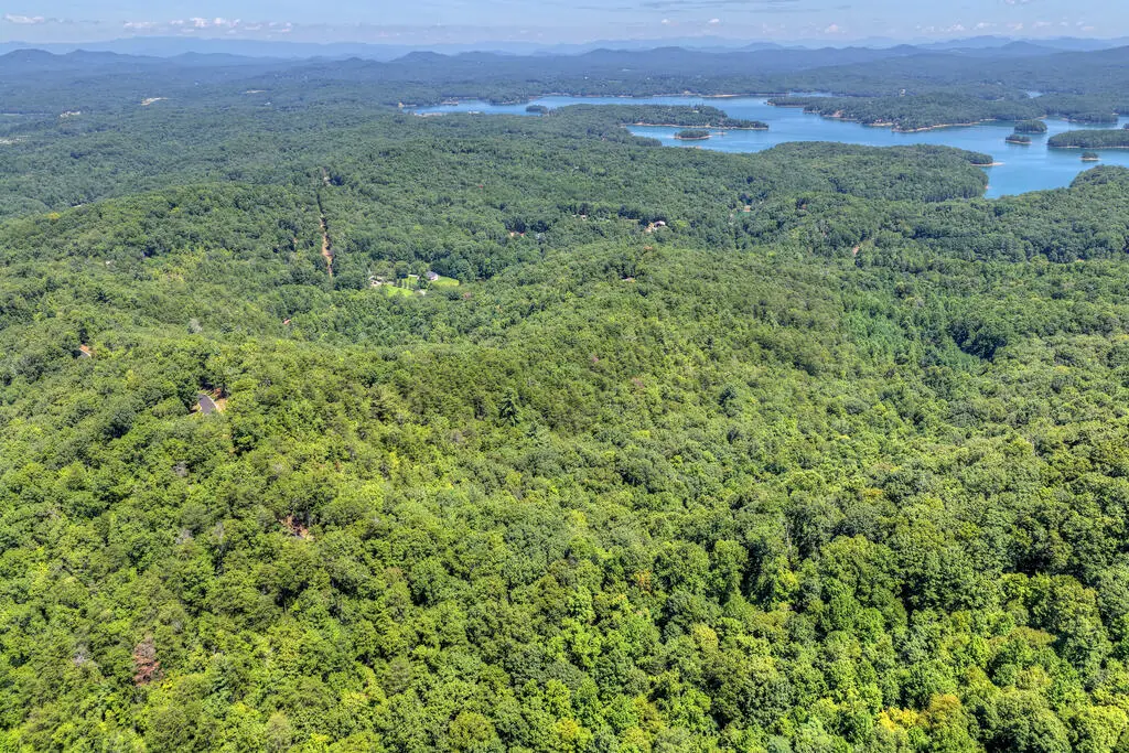 508 Whispering Pines Road, Blue Ridge, GA 30513 - #1