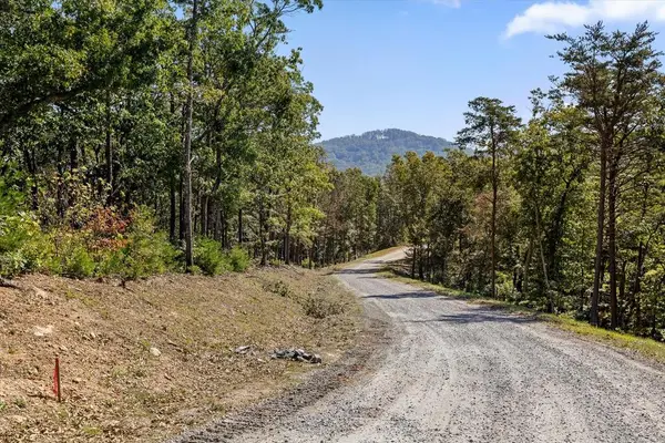Lot 354 Calloway Mountain Road, Talking Rock, GA 30175
