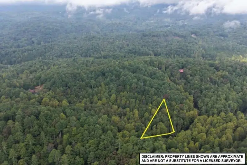 0 S Satsuma Court, Ellijay, GA 30540 - #2