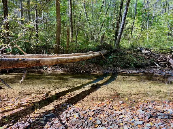 2.2 Acre Hatchet Creek Road, Union, GA 30512