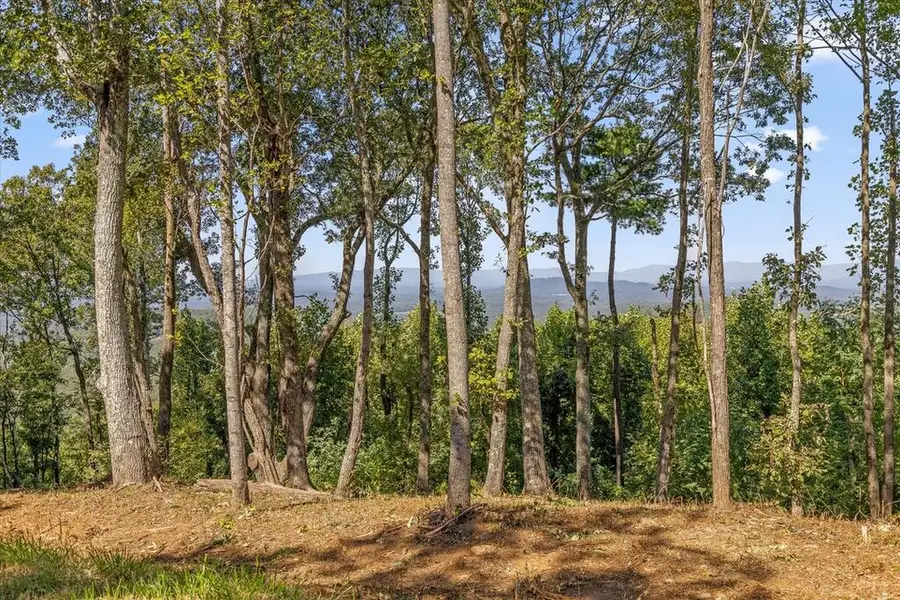 Lot 393 Double Oak Trl, Talking Rock, GA 30175 - #3