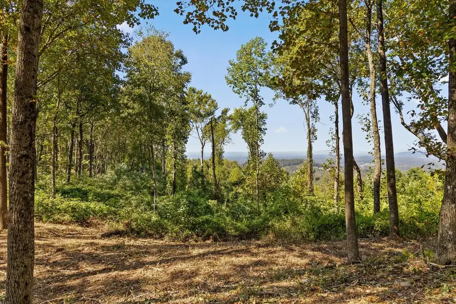 Lot 402 Double Oak Trl, Talking Rock, GA 30175 - #3