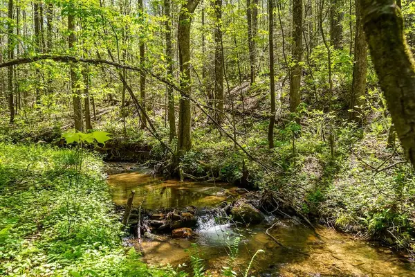 000 Burnt Mountain Road, Ellijay, GA 30536