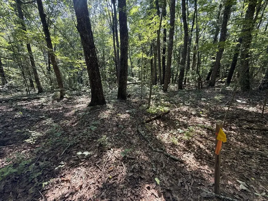 127 Green Cabin Way, Talking Rock, GA 30175 - #2