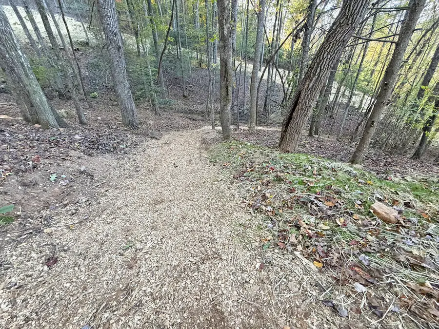 13CD Rainey Valley Lane, Morganton, GA 30560 - #3