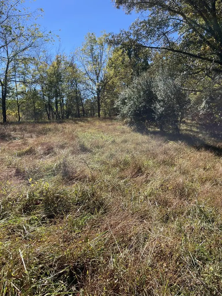 Lot 41 Crestwood Drive, Blairsville, GA 30512 - #2